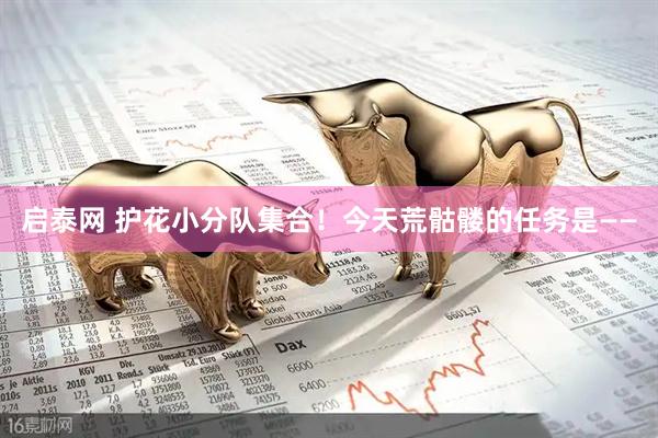启泰网 护花小分队集合！今天荒骷髅的任务是——
